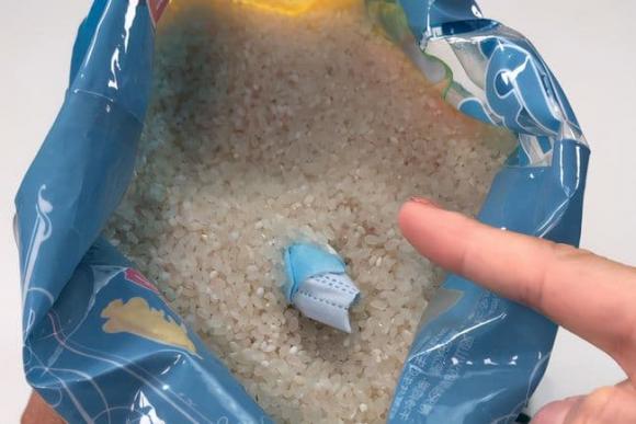 mọt gạo, tiêu ᵭiệt mọt gạo, mẹo hay, mẹo vặt